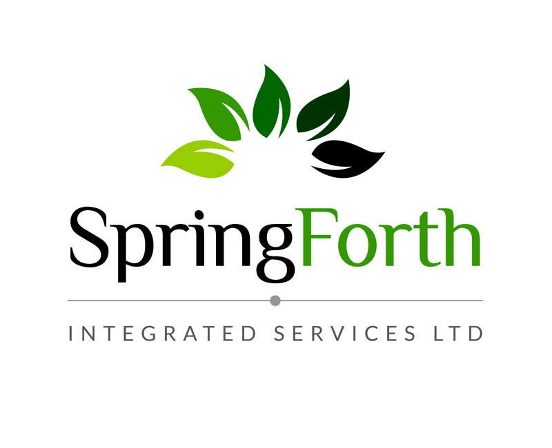 SpingForth — Logo Design project